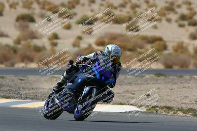 media/Apr-10-2022-SoCal Trackdays (Sun) [[f104b12566]]/Turn 5 Tree of Life (1040am)/